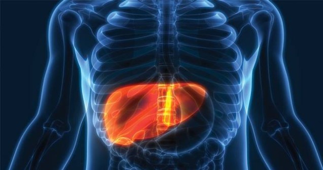 Alkol En Çok Hangi Organa Zarar Verir? Vücutta En Fazla Etkilenen Organ