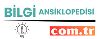 bilgiansiklopedisi.com.tr